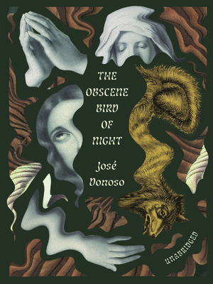 cover image of The Obscene Bird of Night